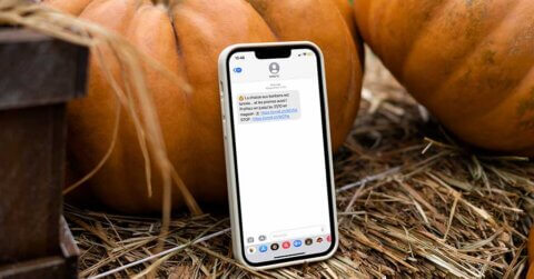Un téléphone avec un exemple de SMS marketing lors d'une campagne pour Halloween, devant des citrouilles.