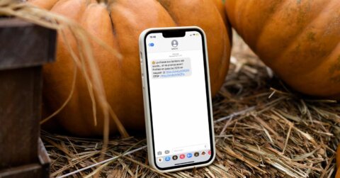 Exemple de SMS devant des citrouilles, dans le cadre d'une campagne marketing Halloween.
